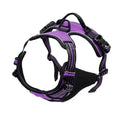 Dog Collars Harness Big Vests Leash Pet Shop Everything for Dogs Leather Puppy Accessories Medium Small Set SIZE L