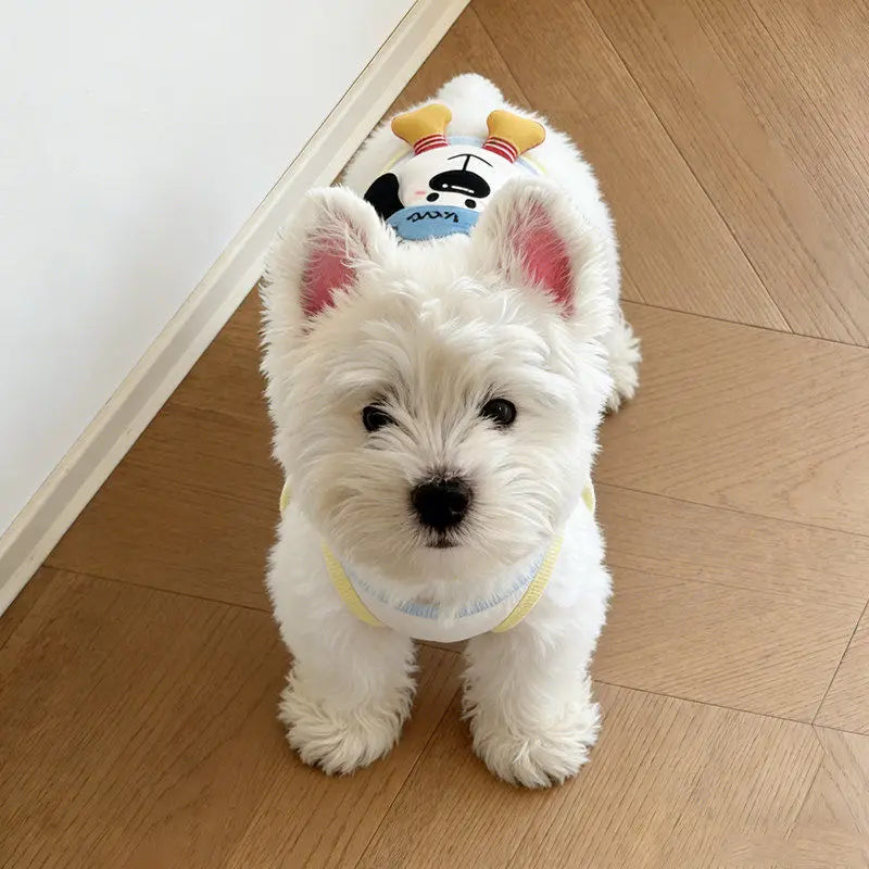 Pet Cute Ice Cream Vest Teddy Spring Clothing Small Dog Cat Pet Dress Couple Outfit Dog Clothes for Small Dogs Puppy Clothes