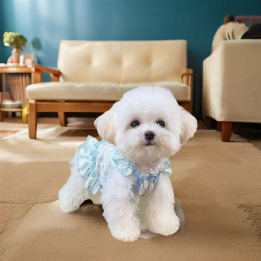 Pet Clothes Thin Dog Cool Dress Cute Soft Dog Cooler Clothes Breathable Skin-friendly Puppy Skirt Spring/Summer