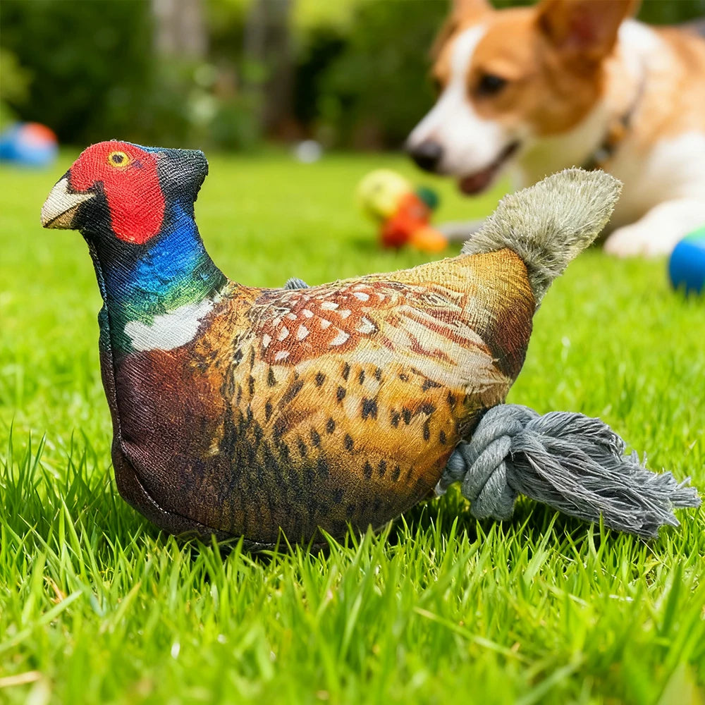 Plush Toy for Cats and Dogs: Lifelike Pheasant, Tear-Resistant Knotted Toy, Washable, Interactive Companion Toy for Pets