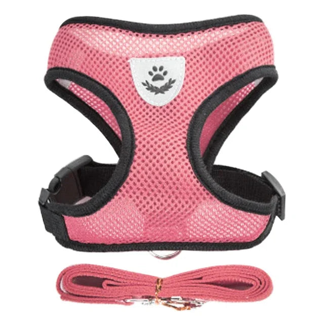 Walking Cat Harness Vest Lead Leash for Puppy Dogs Collar Polyester Adjustable Mesh Dog Harness for Small Medium Pet Accessories