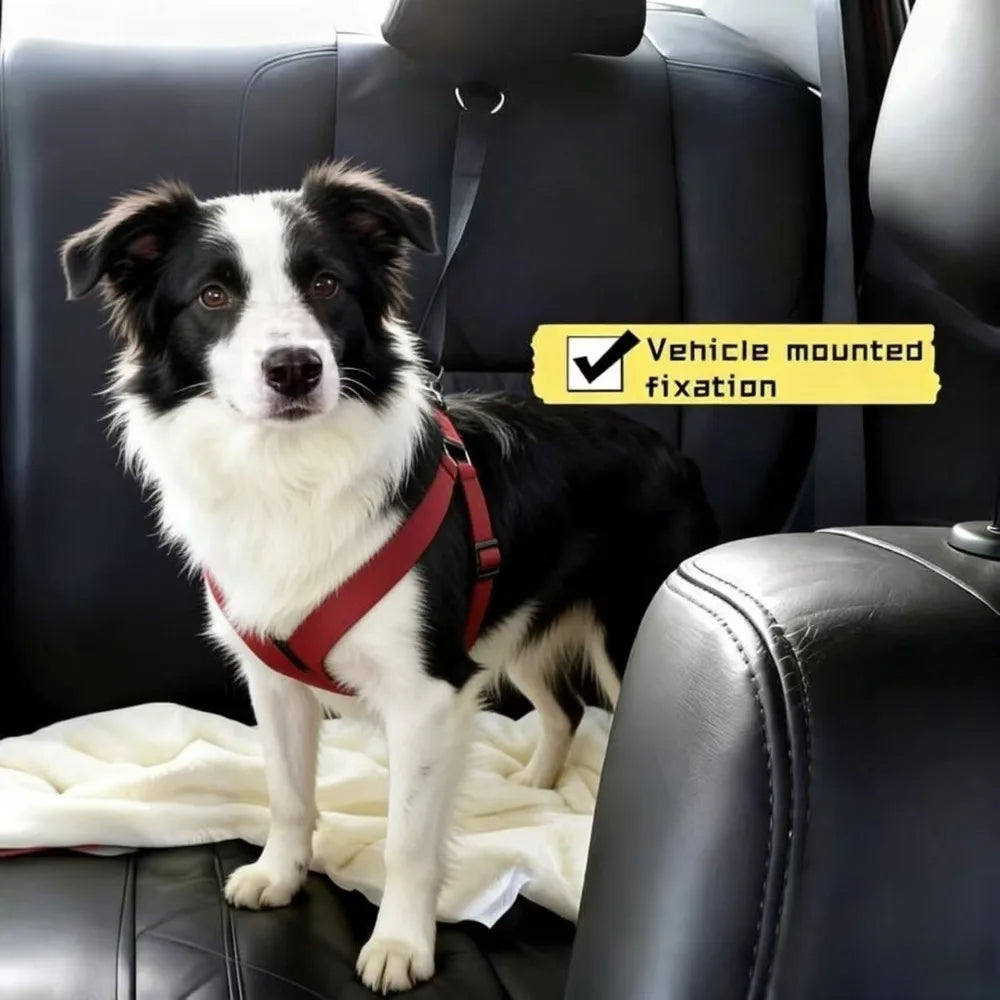 Pet Car Seat Belt, Nylon Leash, Rear Seat Belt, Adjustable Dog Safety Harness Collar, Pet Accessories