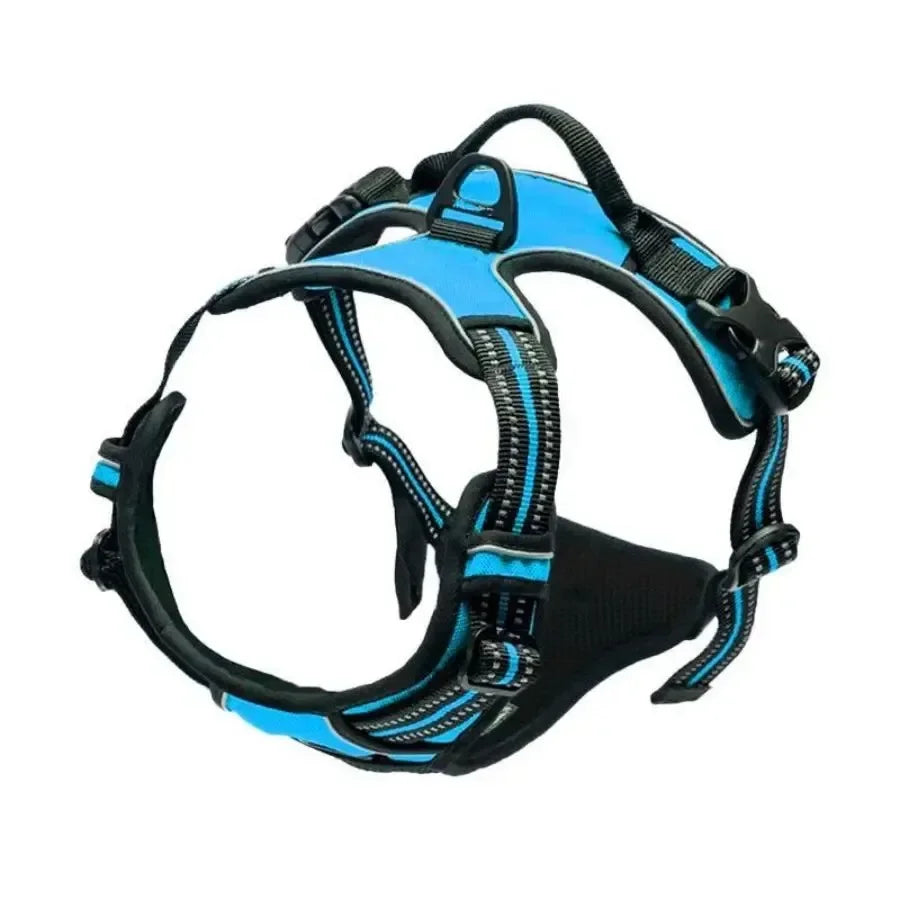 Dog Collars Harness Big Vests Leash Pet Shop Everything for Dogs Leather Puppy Accessories Medium Small Set SIZE L