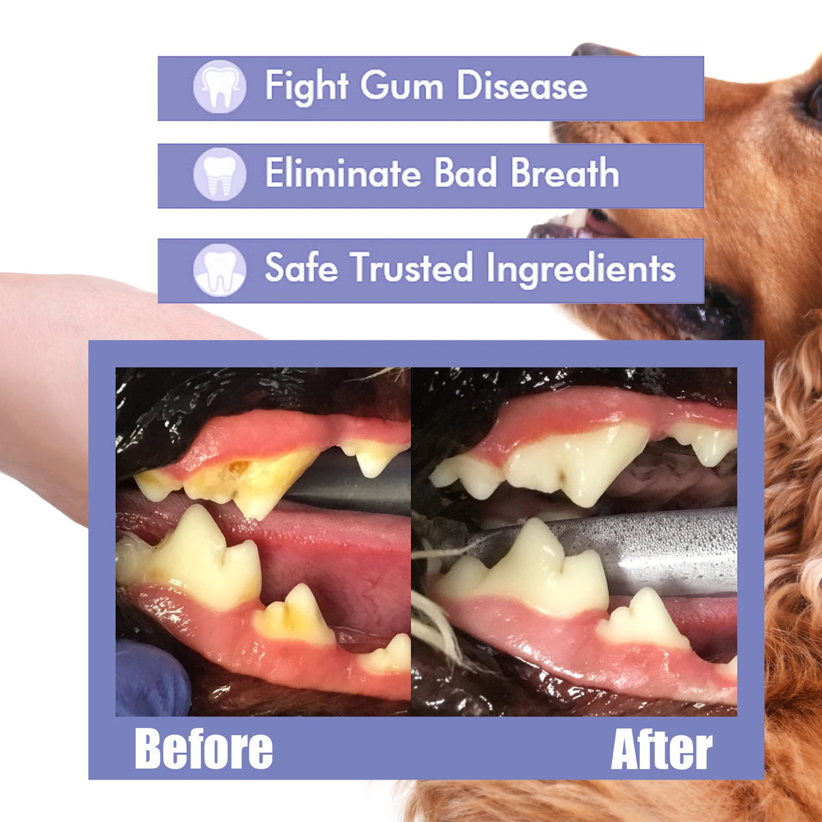 Pet Teeth Cleaning Spray Reduces Plaque & Tartar Buildup Keep Dog Cat Fresh Breath Oral Dental Care Hygiene Treatment All Breeds