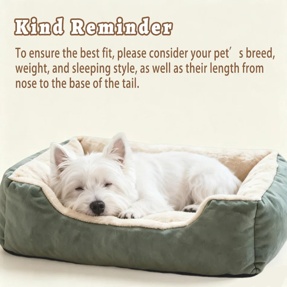 Bed for Cats Pet Products Cushions Kitten Winter Accessories Dog All Houses Supplies Things Accessory Habitats Basket House Beds