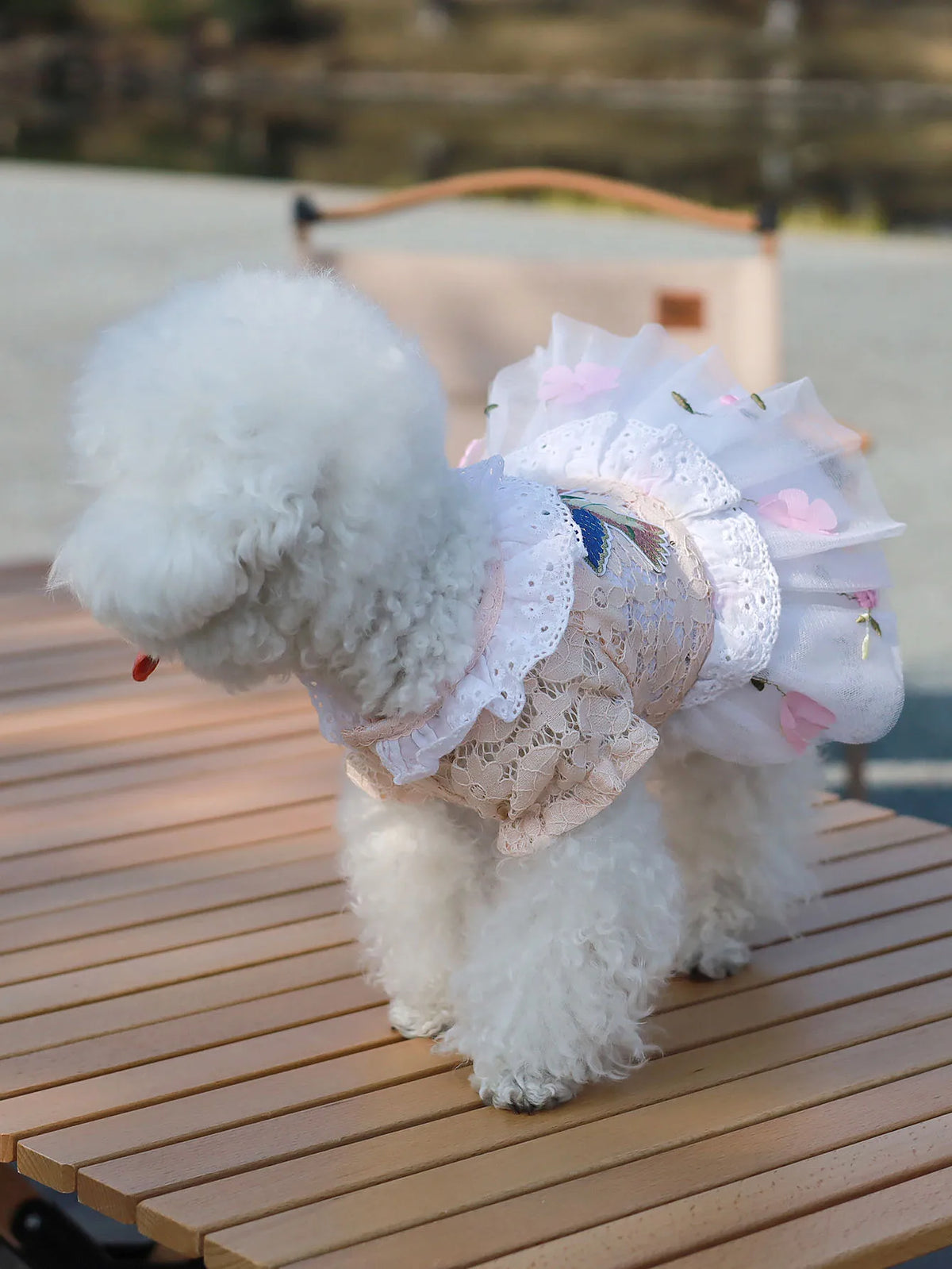 Pet Clothes Princess Skirt Breathable Lace Spring & Summer Cute Puppy Teddy Bichon Dress Small and Medium sized Dog Clothing