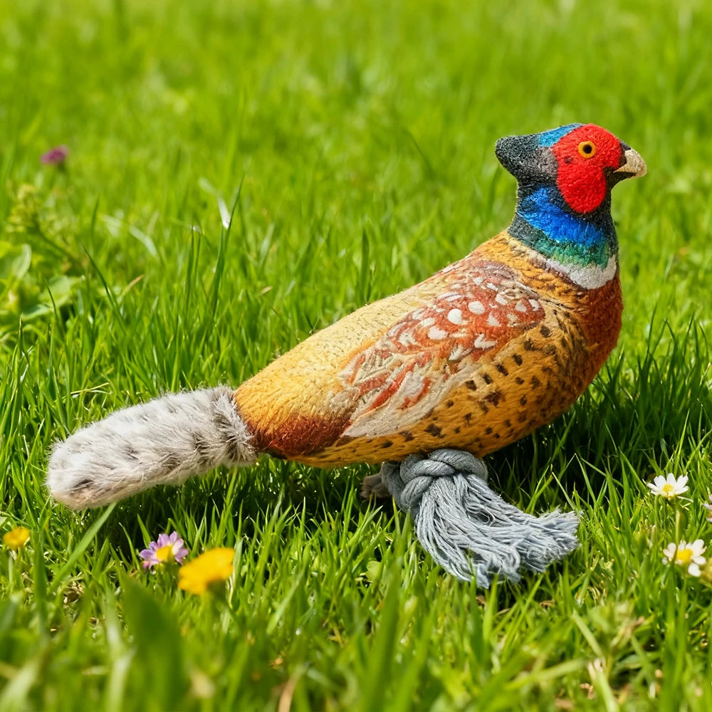 Plush Toy for Cats and Dogs: Lifelike Pheasant, Tear-Resistant Knotted Toy, Washable, Interactive Companion Toy for Pets