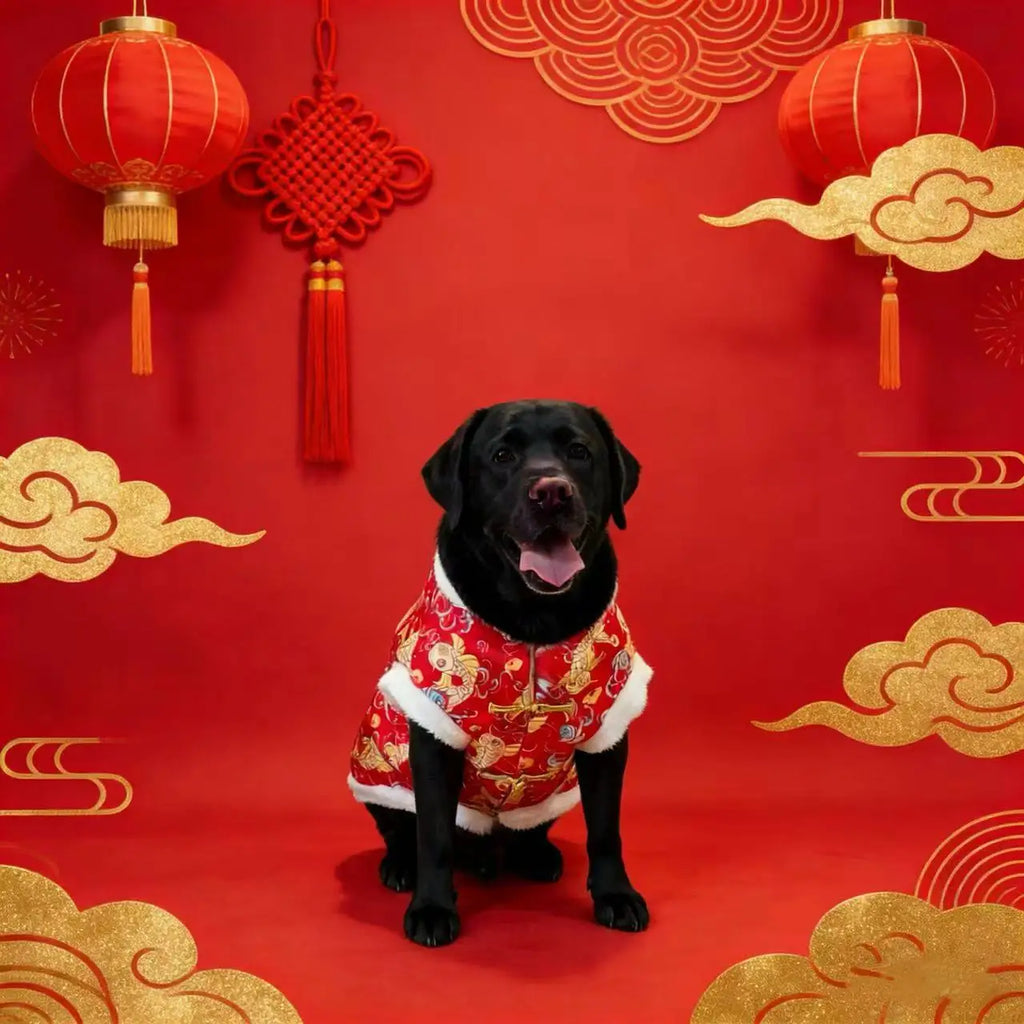 Chinese traditional pattern pet clothing, warm and comfortable dog clothes, suitable for medium to large dogs such as Golden Ret