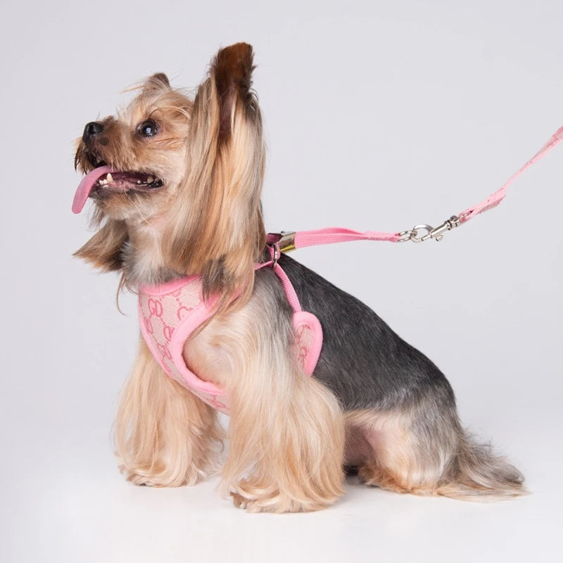 Designer Dog Harness and Leashes Set Classic Pattern Pets Collars Leash Breathable Mesh Pet Harnesses for Small Dogs Poodle Schn