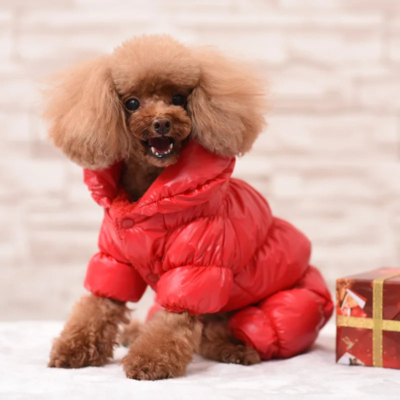 Pet Clothing Puppy Windproof Clothing Winter Dog Clothin Autumn and Winter Comfortable and Warm Home Outdoor Pet Clothing