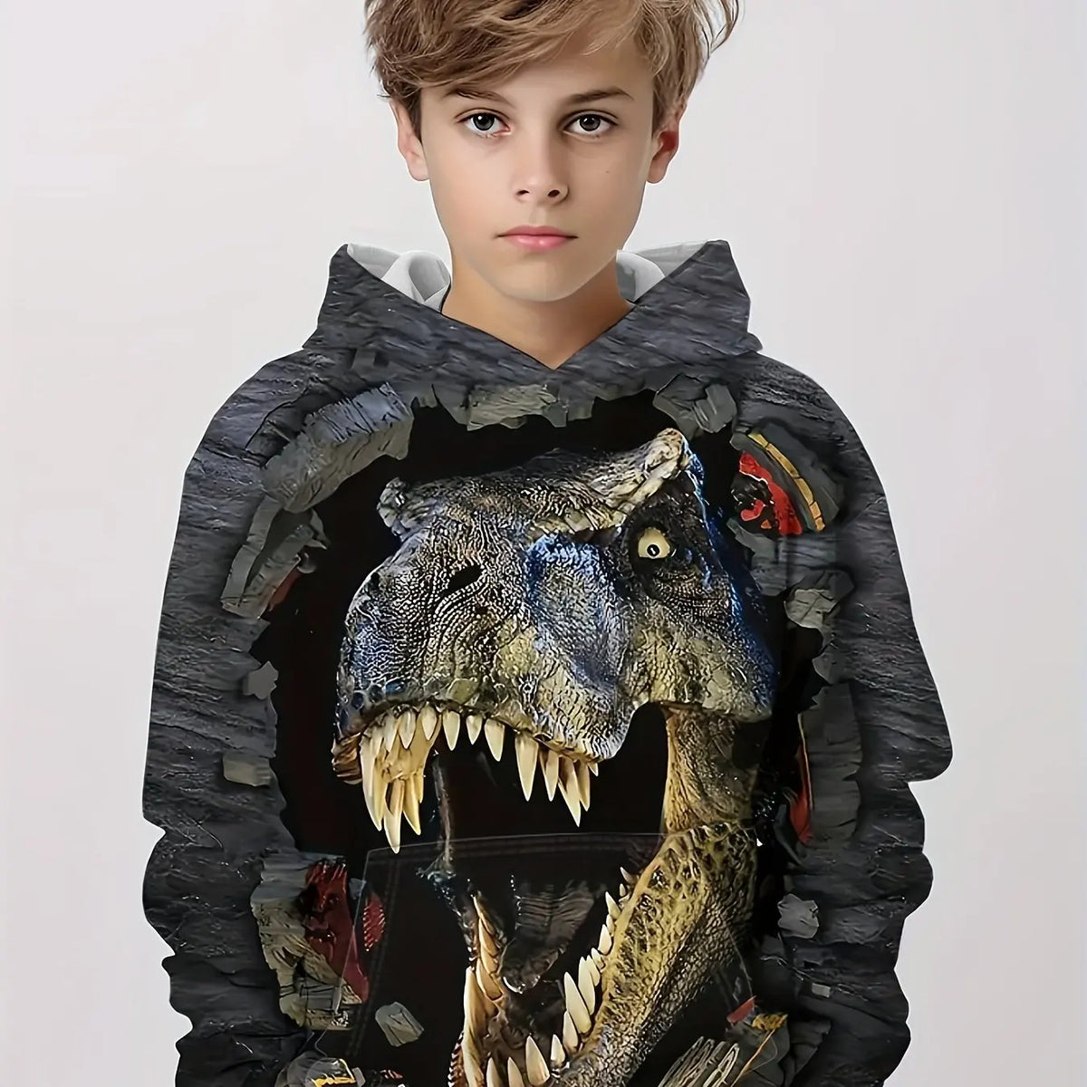 Children's Clothing Hoodies Kids Clothes Boy Children Top Long Sleeve Cartoon Dinosaurs Print Spring And Autumn Outdoor Clothes