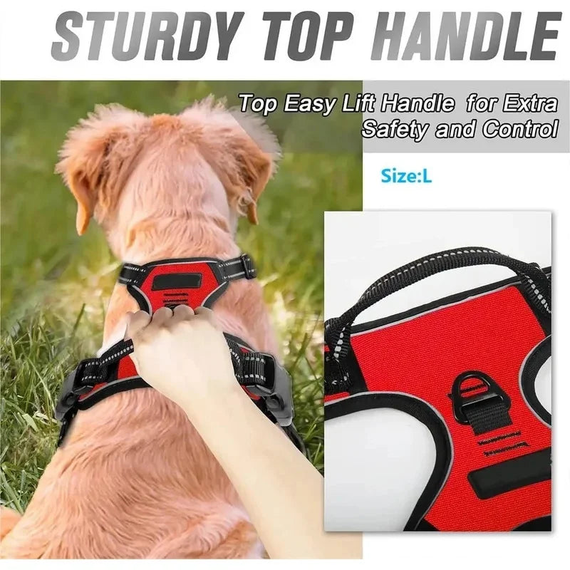 Dog Collars Harness Big Vests Leash Pet Shop Everything for Dogs Leather Puppy Accessories Medium Small Set SIZE L