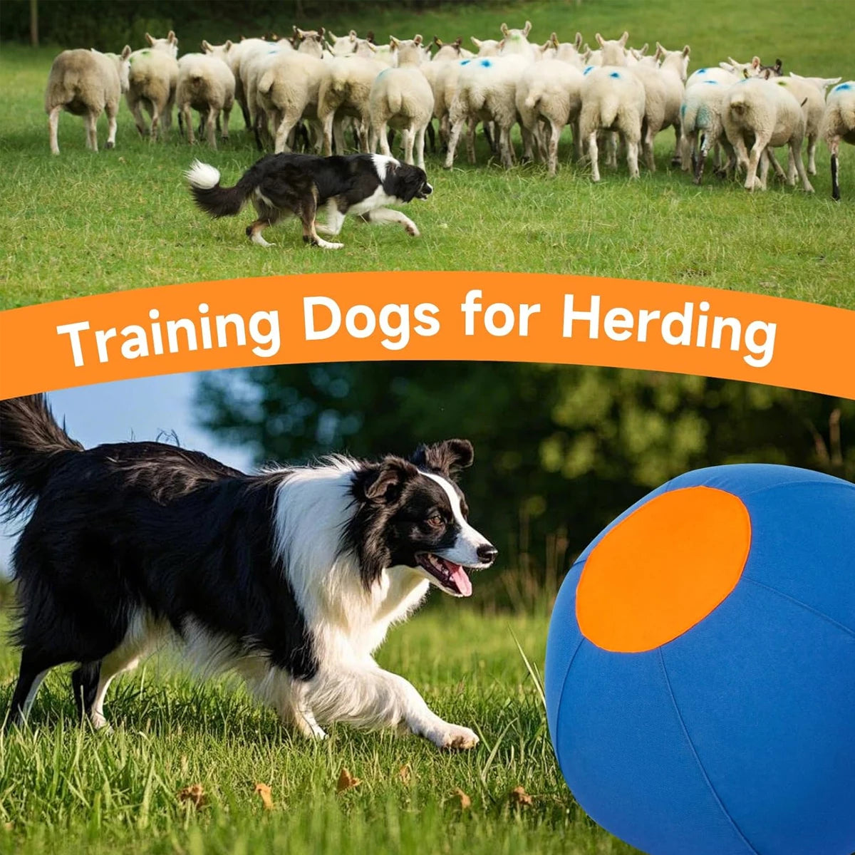 Pet Dogs Accessories Huge Animals Toys For Medium And Large Dog Pasture Calves Foals Lambs Dachshund Outdoor Playing Game Balls