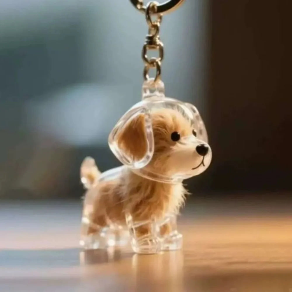 Transparent Pet Hair Storage Memorial Keychains Cat and Dog Hair Organization Capsules Decorative Pendants Cat Accessories