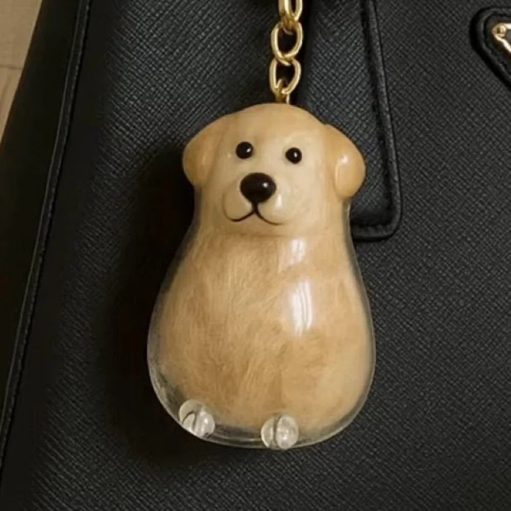 Transparent Pet Hair Storage Memorial Keychains Cat and Dog Hair Organization Capsules Decorative Pendants Cat Accessories