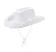 Women'S Western Cowboy Hat  Adult Solid Color Fur Trimmed Wide Brimmed Hat  Yuppie Gentleman Style Date Party Women'S Hat