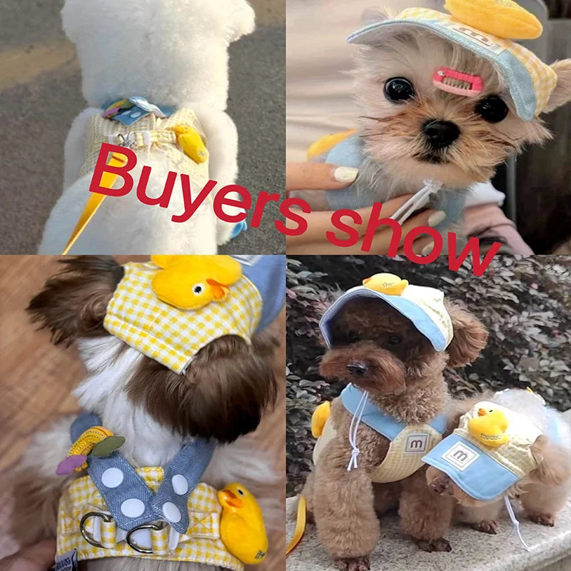 Pet Puppy Harness Leash Set for Small Mid Dogs Cat Walking Lead Chihuahua Bunny Vest Harness Poodle Collar Leash Dog Accessories
