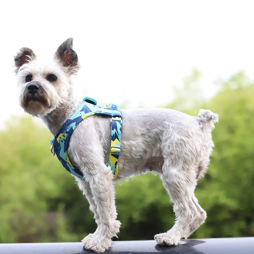 Dog Cat Harness Adjustable Vest Walking Lead Leash For Puppy Dogs Collar Polyester Mesh Harness For Small Medium Dog Cat Pet