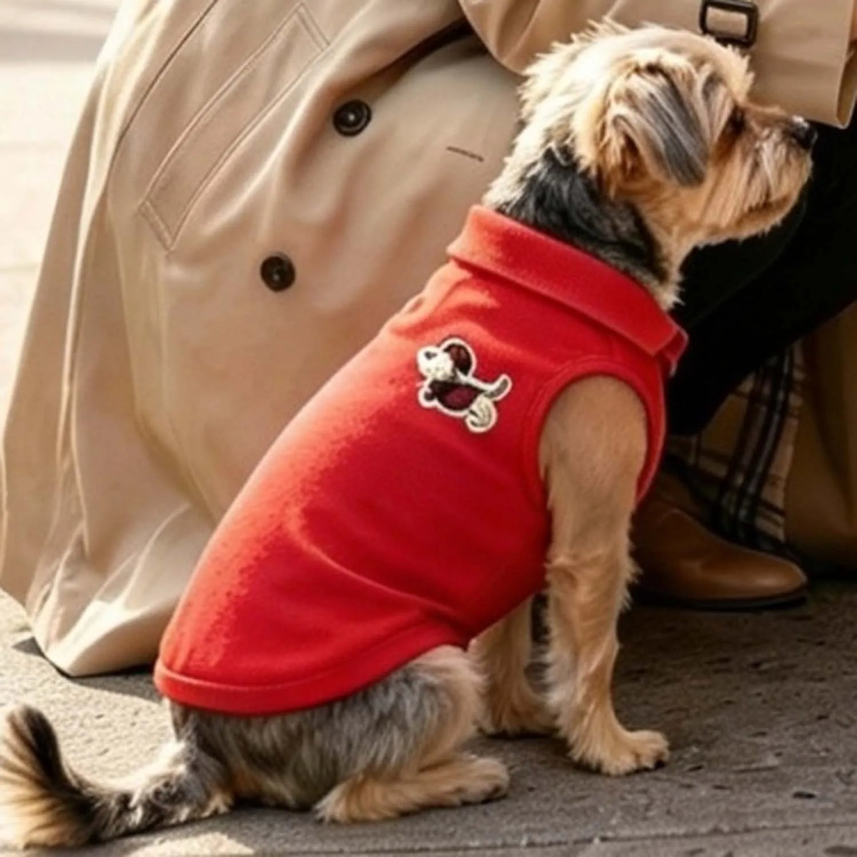 Fashion Embroidered Dog Polo Shirt Breathable Sleeveless Pet Clothing For Small Breeds Outdoor Walking Pet Outfit