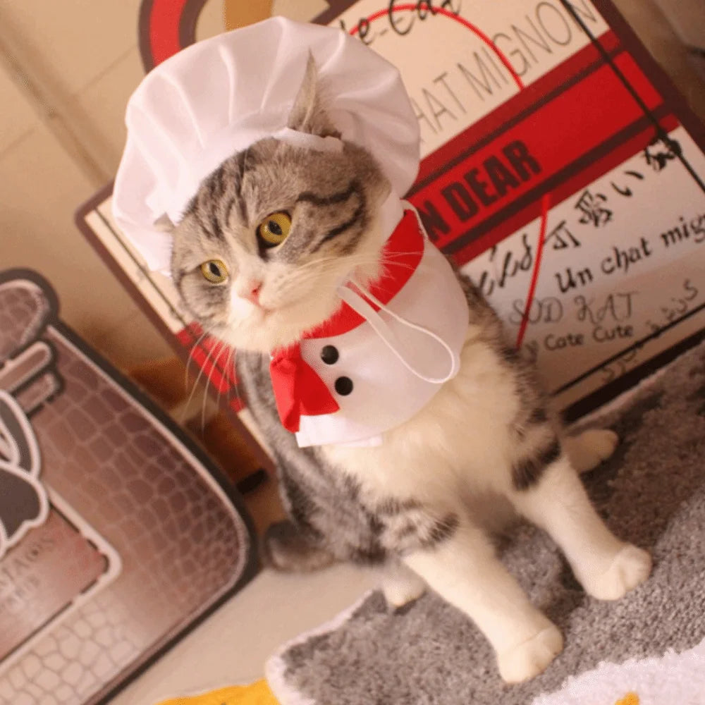 Pet Accessories Cute Pet Cooking King Hat Comfortable Stylish Cat Transformation Dress Adjustable Chef Hat Set Pet Events