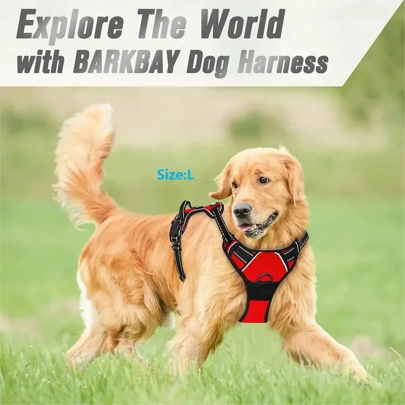 Dog Collars Harness Big Vests Leash Pet Shop Everything for Dogs Leather Puppy Accessories Medium Small Set SIZE L