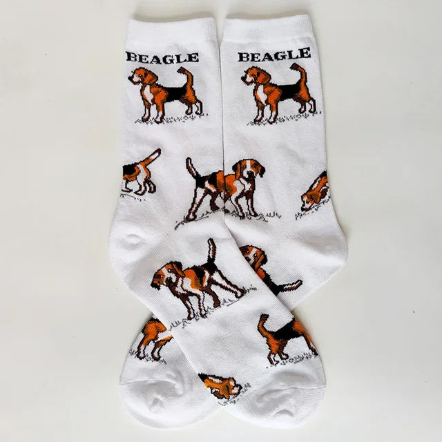 NEW Crew Fashion Funny Women Socks Border Collie Schnauzer Lab Scottie Beagle Boxer Pug Bulldog Sheltie Golden Doodle Retriever