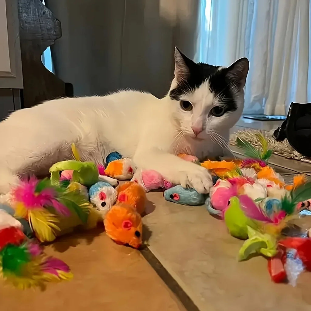 100 Styles Mixed Pet Toy Set, Random Assorted Interactive Cat & Dog Toys, Variety Chew Squeaky Play Toys for Small Pets