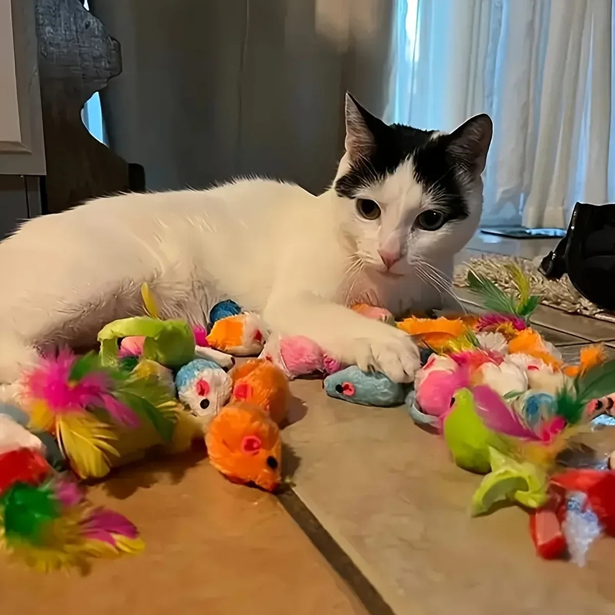100 Styles Mixed Pet Toy Set, Random Assorted Interactive Cat & Dog Toys, Variety Chew Squeaky Play Toys for Small Pets