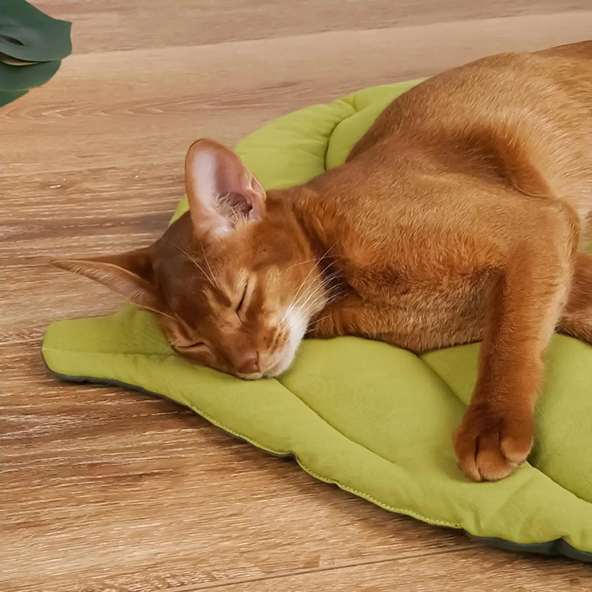 Leaves Shaped Pet Bed Reversible Soft Washable Non Slip Cushion For Cats Dogs Indoor Travel Camping Comfortable Cozy Cooling Mat