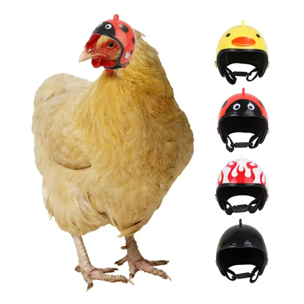 Funny Accessories Pet Protective Headgear Chicken Helmet Bird Protect Cap Sun Rain Protection Hats