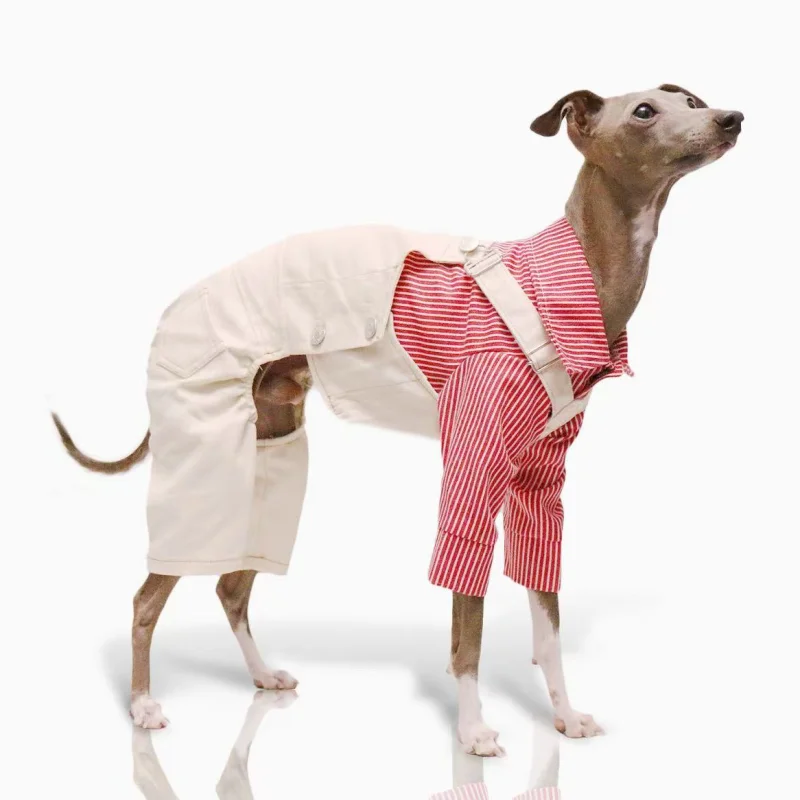 Pet Clothing Adjustable Blue Thin Denim Carrier Pants for Mid Dogs 4-legged Spring White Coat for Italy Greyhound Wellingtonian