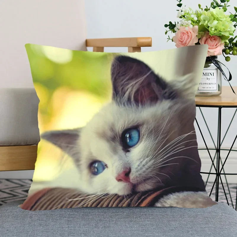 Cute Animal Bed Pillowcase for Car Sofa Home  Pet Cat Printed   Cushion Cover