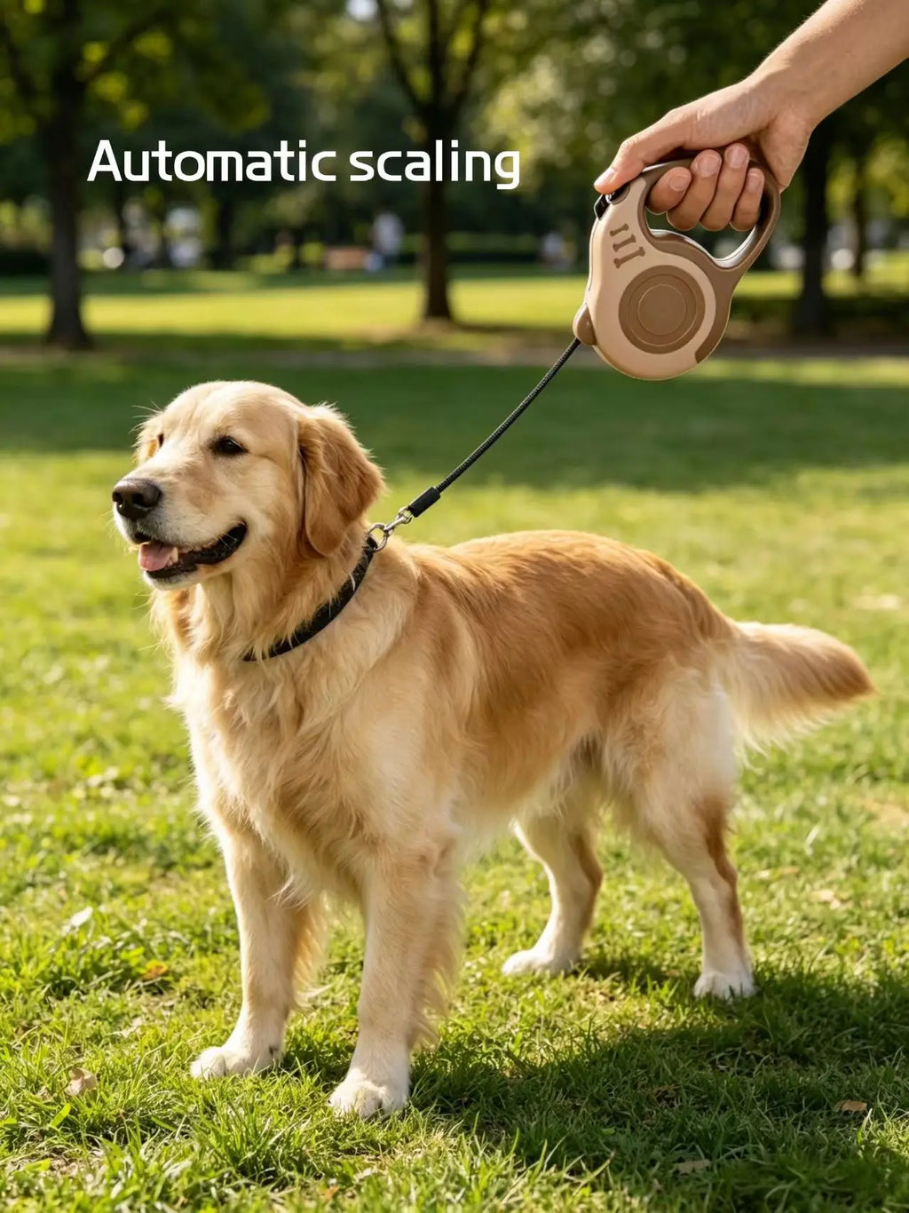 Pet leash - Automatic retractable leash for pet dogs. Cat harness for pet cats. Dog walking rope. Dog chain. Dog rope.
