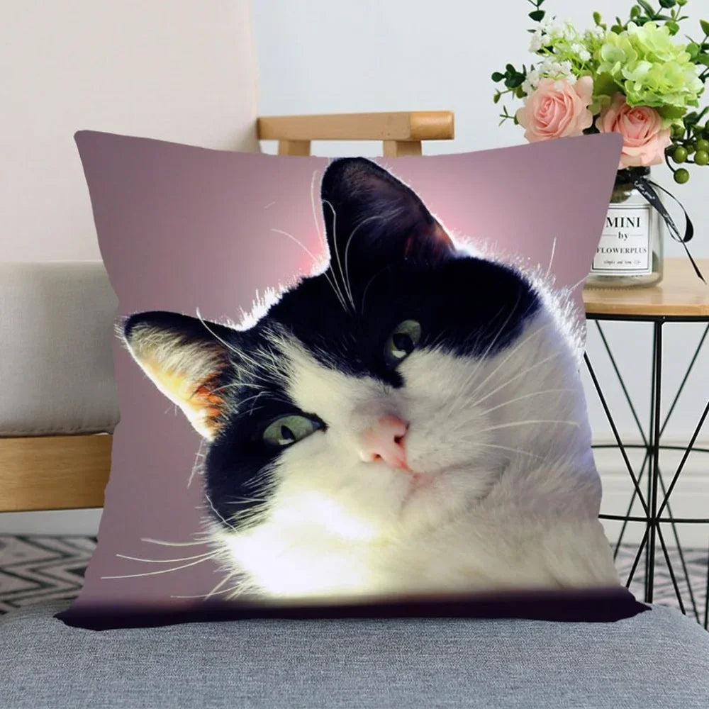 Cute Animal Bed Pillowcase for Car Sofa Home  Pet Cat Printed   Cushion Cover