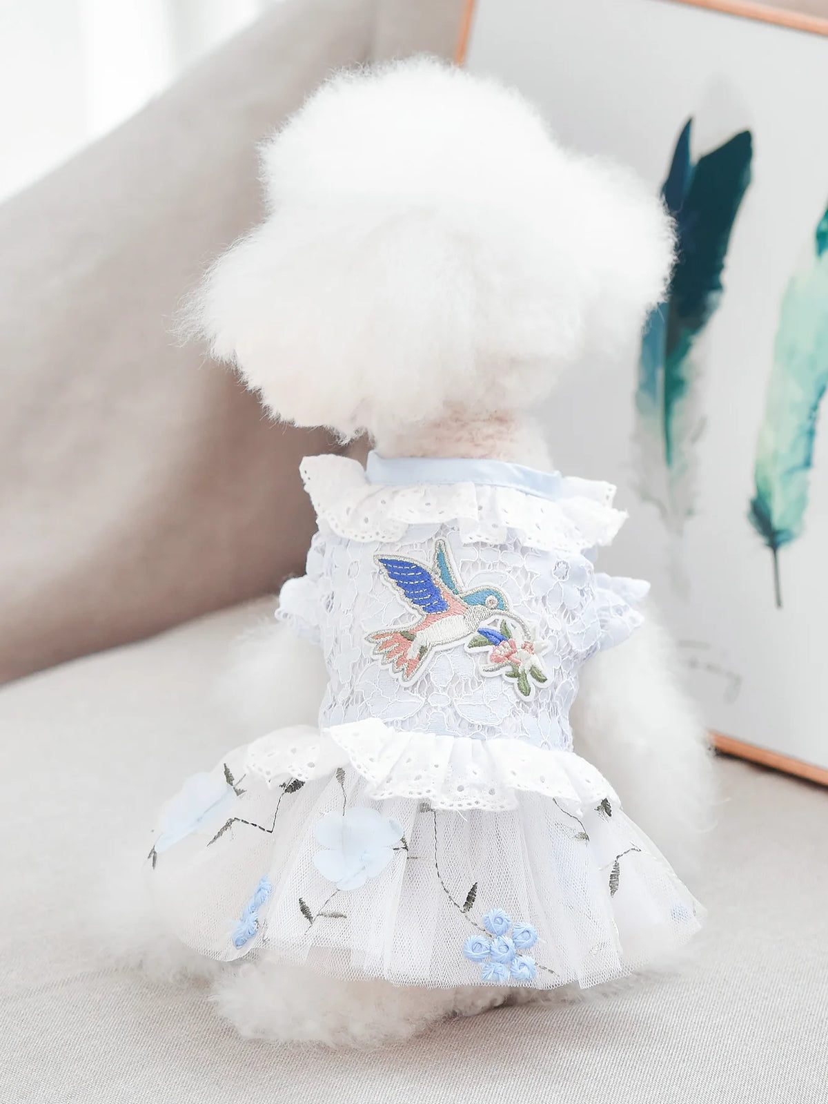 Pet Clothes Princess Skirt Breathable Lace Spring & Summer Cute Puppy Teddy Bichon Dress Small and Medium sized Dog Clothing