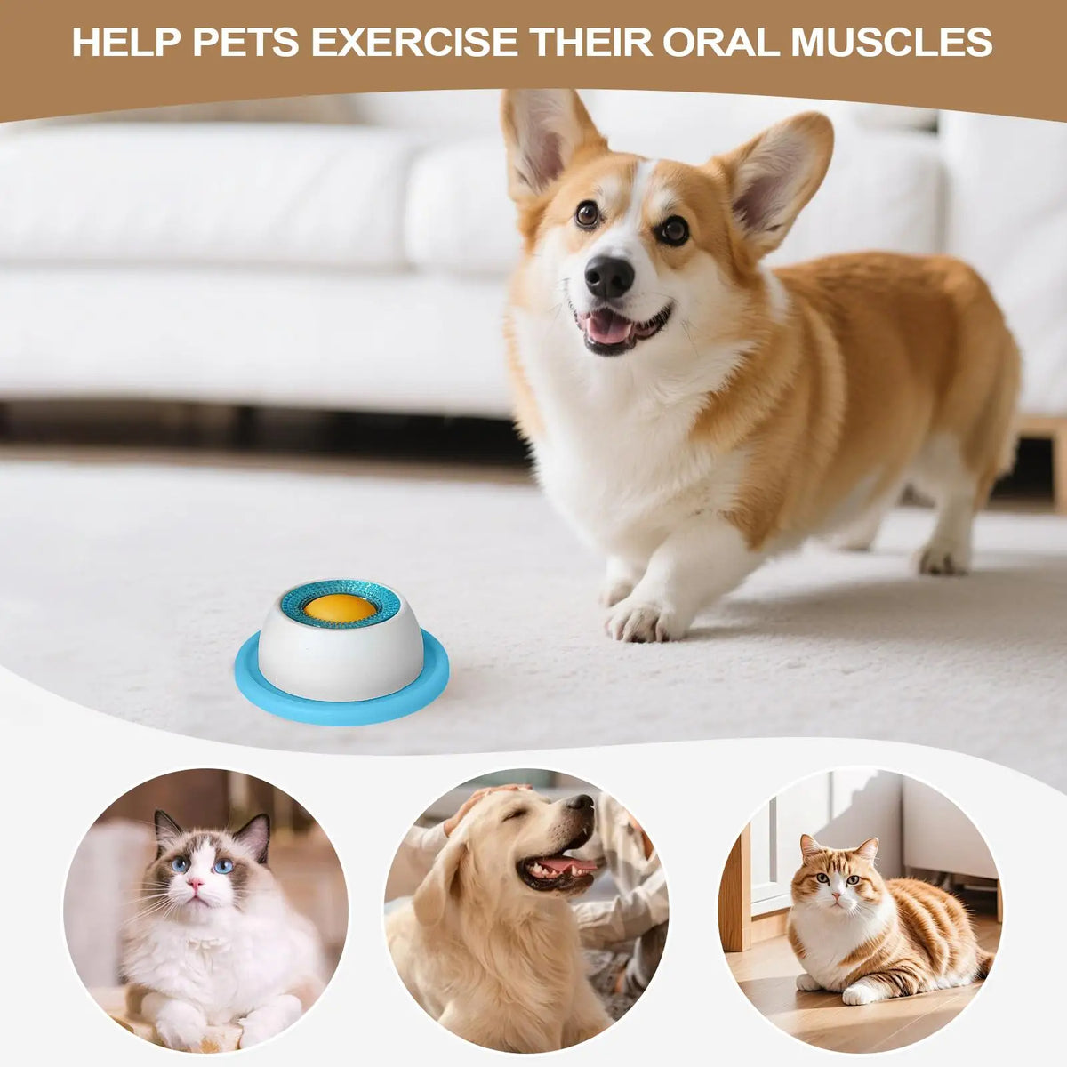 Dog Treat Toy Pet Feeding Accessories  Puzzle Toys For Bored Puppy Slow Feeder Puppy Supplies For Healthy Eating Food Crate
