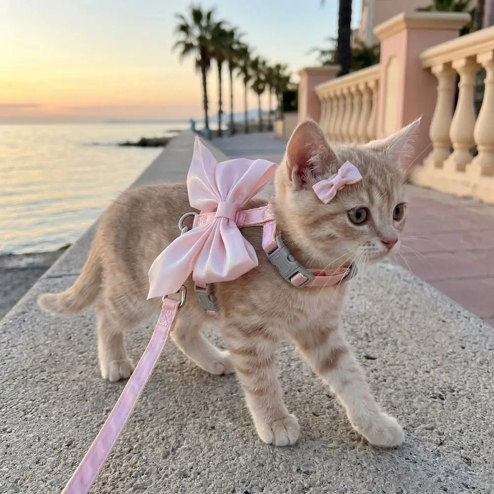 Pet Accessories Adjustable Pet Harness Escape-Proof Breathable Cat Leash Cute Bow Comfort Dog Chest Strap for Dogs Puppy Rabbit