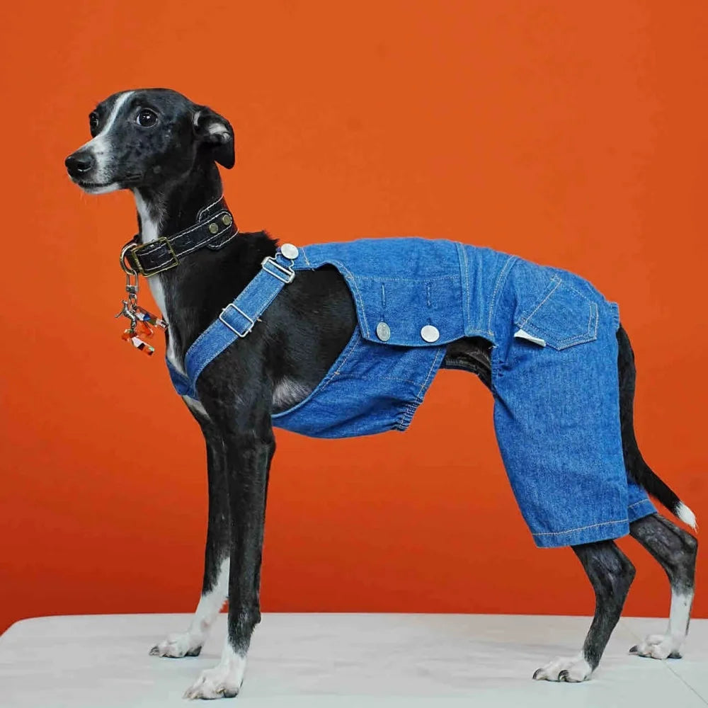 Pet Clothing Adjustable Blue Thin Denim Carrier Pants for Mid Dogs 4-legged Spring White Coat for Italy Greyhound Wellingtonian