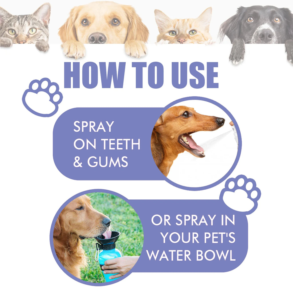 Pet Teeth Cleaning Spray Reduces Plaque & Tartar Buildup Keep Dog Cat Fresh Breath Oral Dental Care Hygiene Treatment All Breeds