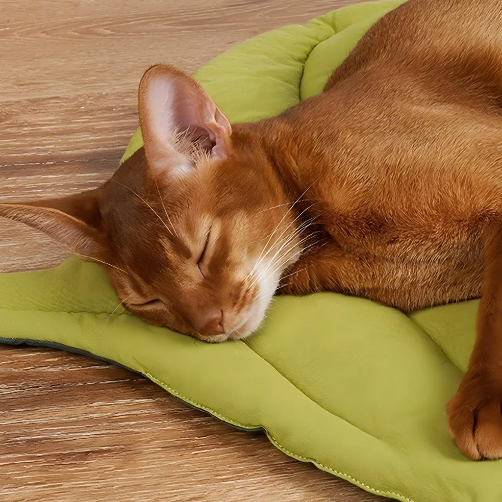 Cat Bed Mats Soft Cotton Leaf Shaped Kitten Cat Puppy Dog Bed Mat Sleep Blanket Home Pets Double Sided Pad Floor Rugs Washable