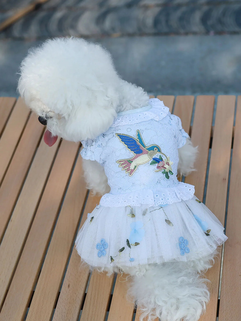 Pet Clothes Princess Skirt Breathable Lace Spring & Summer Cute Puppy Teddy Bichon Dress Small and Medium sized Dog Clothing