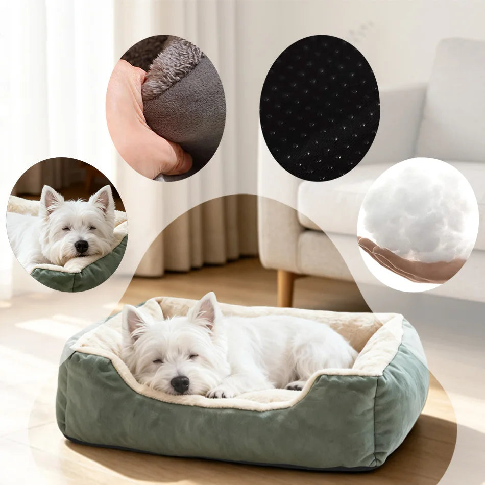 Bed for Cats Pet Products Cushions Kitten Winter Accessories Dog All Houses Supplies Things Accessory Habitats Basket House Beds