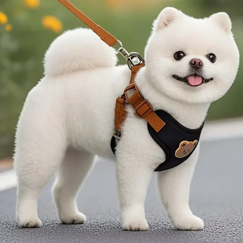 Pet Dog Harness Leash Set Small Medium Dog Cat Vest Breathable Puppy Chest Strap French Bulldog Chihuahua Harness Pet Supplies