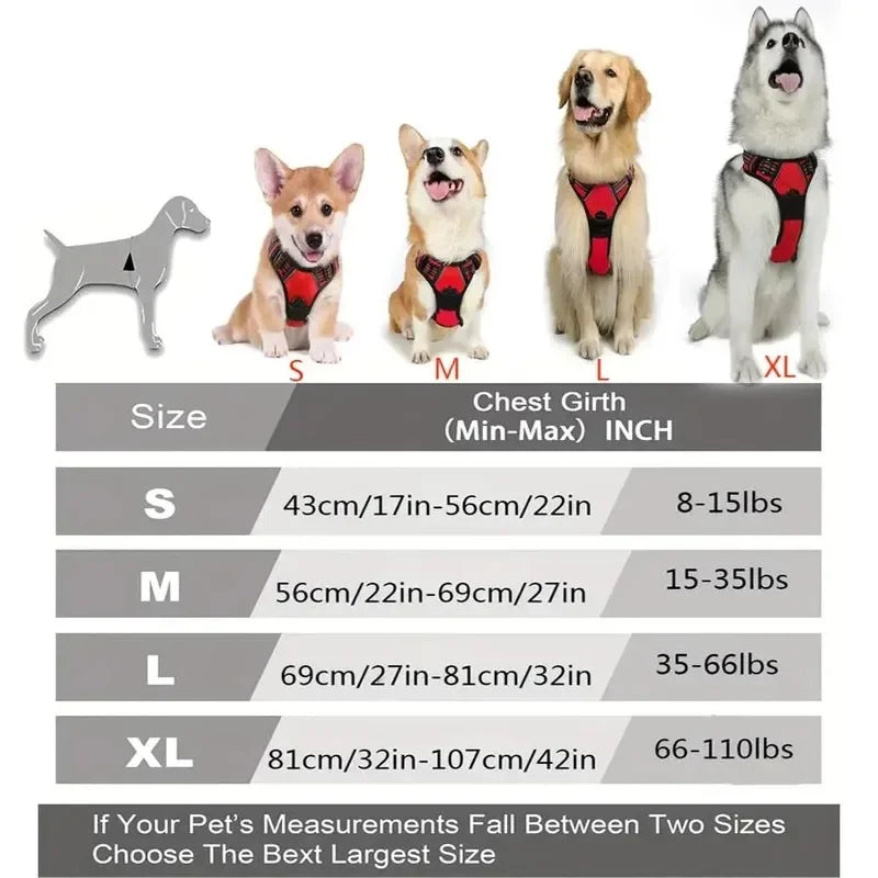 Dog Collars Harness Big Vests Leash Pet Shop Everything for Dogs Leather Puppy Accessories Medium Small Set SIZE L