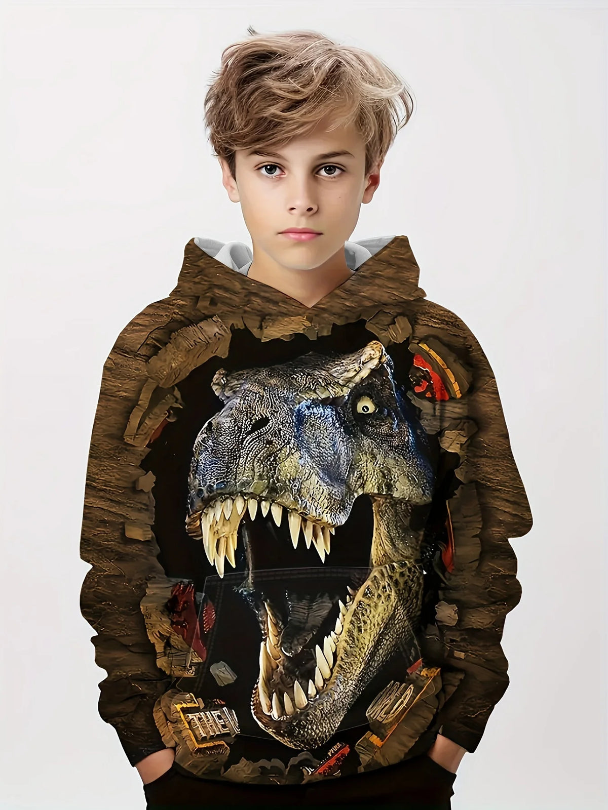 Children's Clothing Hoodies Kids Clothes Boy Children Top Long Sleeve Cartoon Dinosaurs Print Spring And Autumn Outdoor Clothes