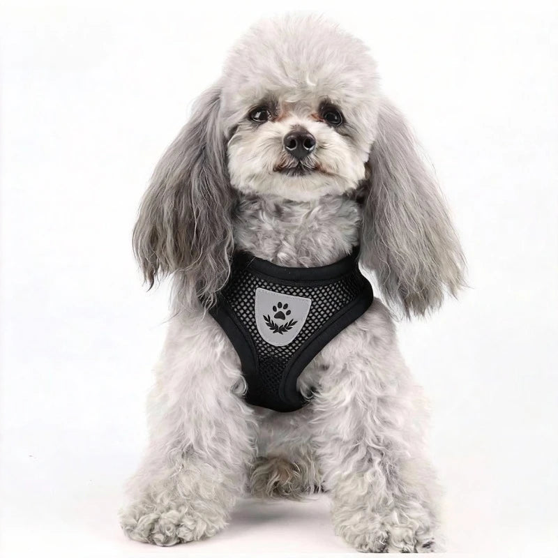 Cat Harness Vest Walking Lead Leash for Puppy Dogs Collar Polyester Adjustable Mesh Dog Harness for Small Medium Pet Accessories