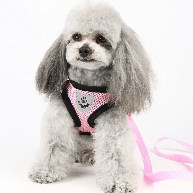 Cat Harness Vest Walking Lead Leash for Puppy Dogs Collar Polyester Adjustable Mesh Dog Harness for Small Medium Pet Accessories