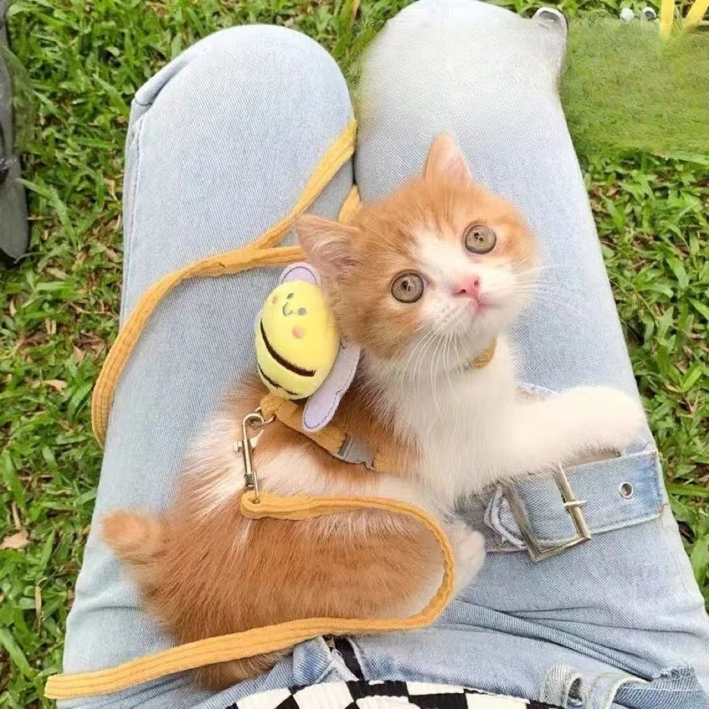 Cat Harness and Leash Sets Adjustable Dog Harness for Small Dogs Breashable Pet Harness Out Walking Dog Kitten Accessories