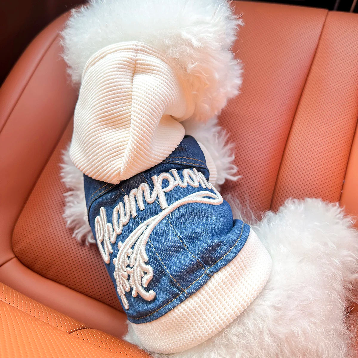 Pet Clothes Dog Cat Cat Out Handsome Cute Comfortable Champion Embroidered Blue Coat Hoodie