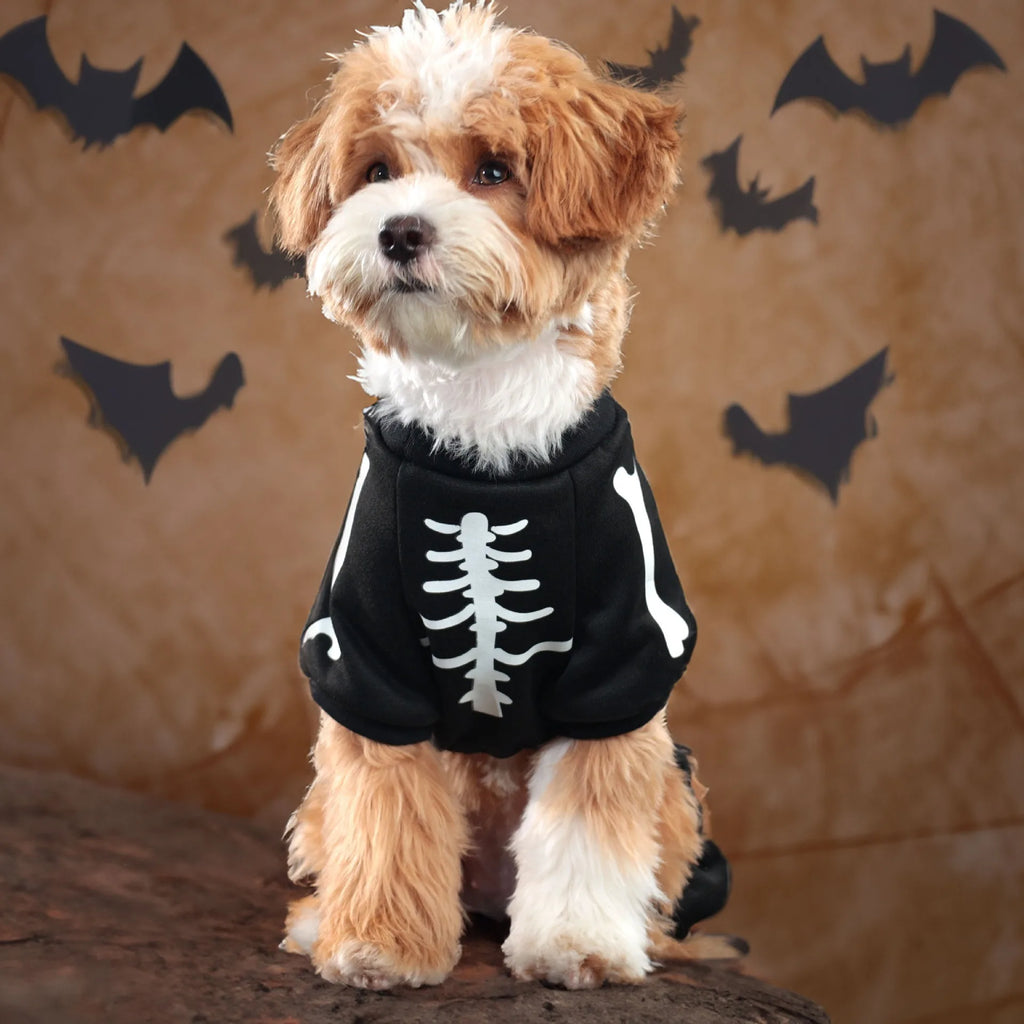 Pet Clothes,Halloween Ones Featuring Glow-in-the-dark Skull Bones with Four Legs,festive Pet Supplies Dog Clothing Sweatshirt